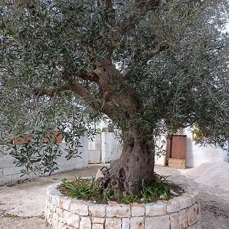 Casetta Wetto' בית נופש מונופולי